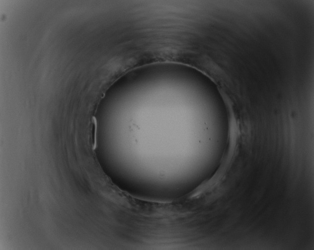 X0000051861057200507012335