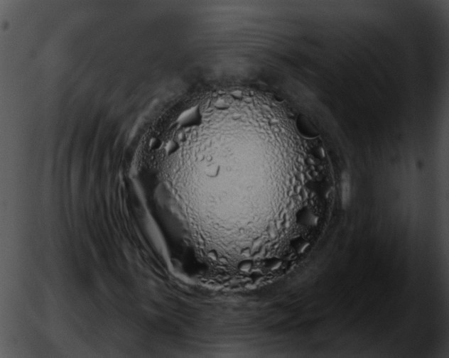 X0000051861059200507012335