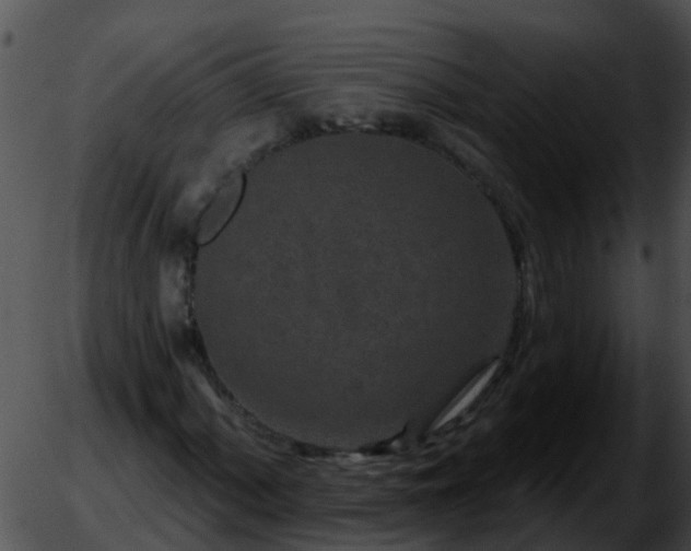 X0000051861060200507012335