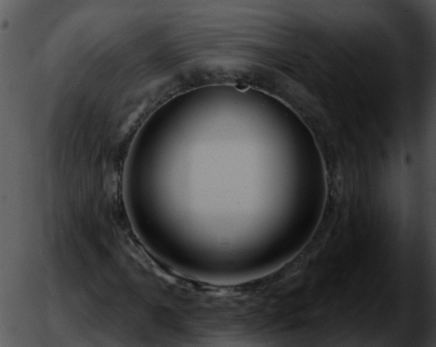 X0000051861061200507012335