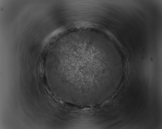 X0000051861063200507012335