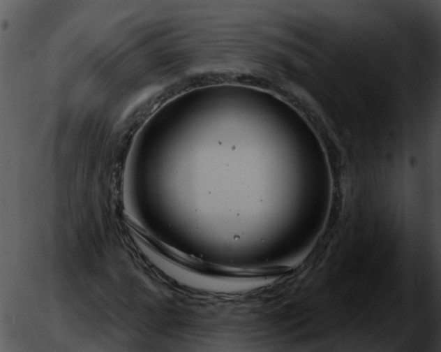 X0000051861064200507012335