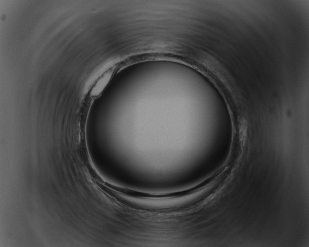 X0000051861069200507012335