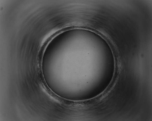 X0000051861070200507012335