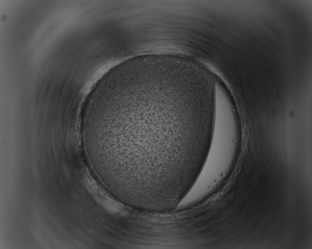 X0000051861071200507012335