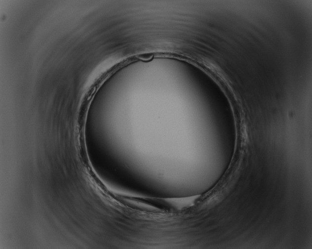 X0000051861072200507012335