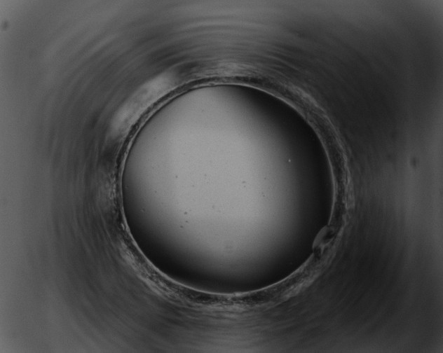 X0000051861073200507012335