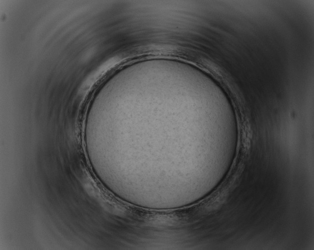 X0000051861074200507012335