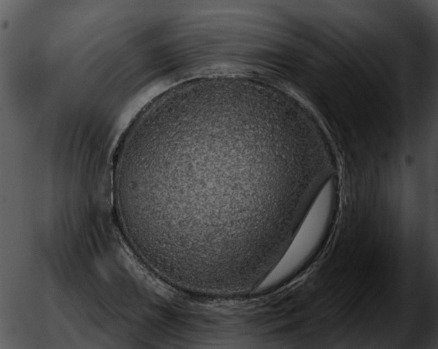 X0000051861075200507012335