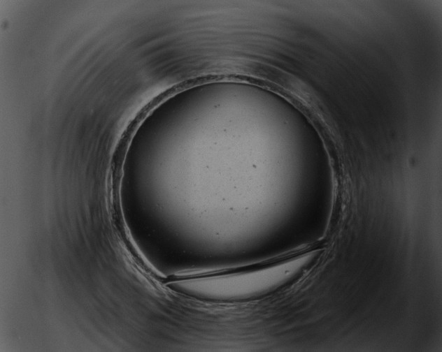 X0000051861076200507012334