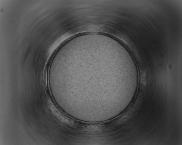 X0000051861078200507012334