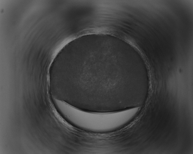 X0000051861079200507012334