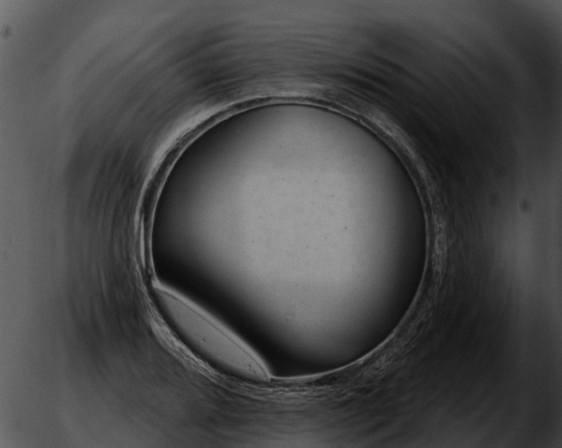 X0000051861080200507012334