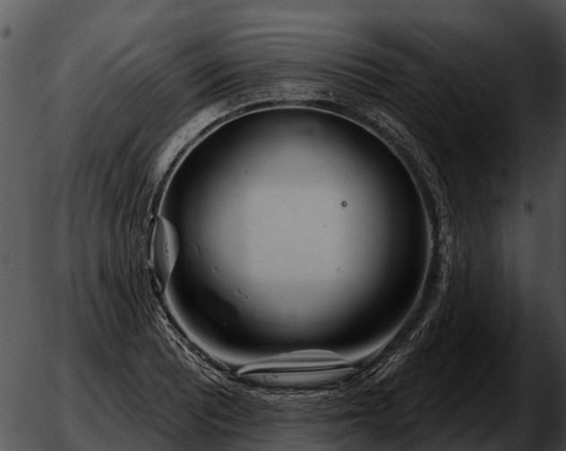 X0000051861081200507012334