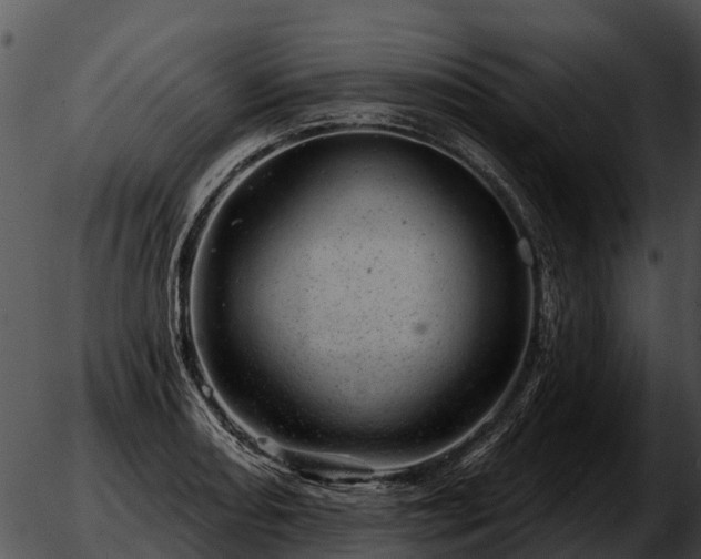 X0000051861082200507012334