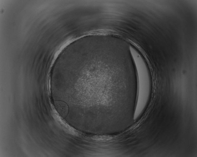 X0000051861083200507012334