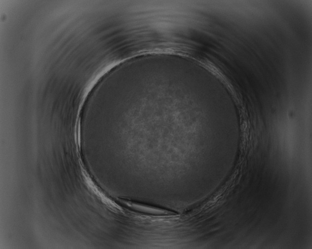 X0000051861084200507012334