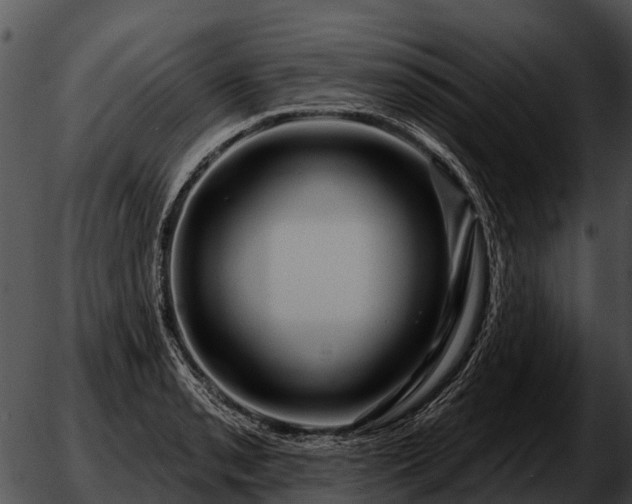 X0000051861085200507012334