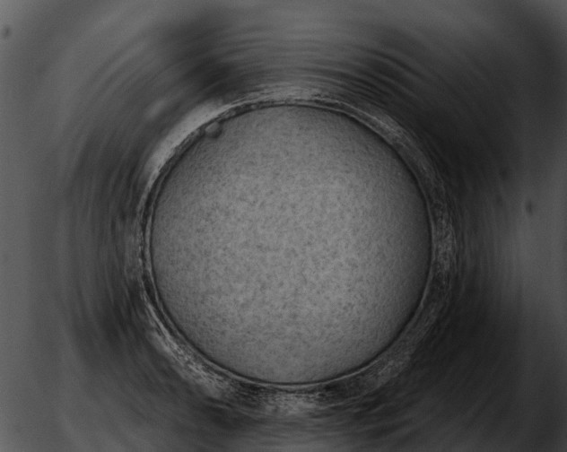 X0000051861086200507012334