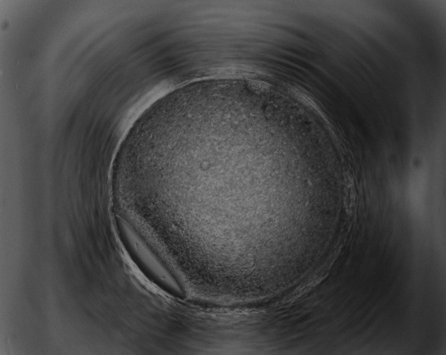 X0000051861087200507012334