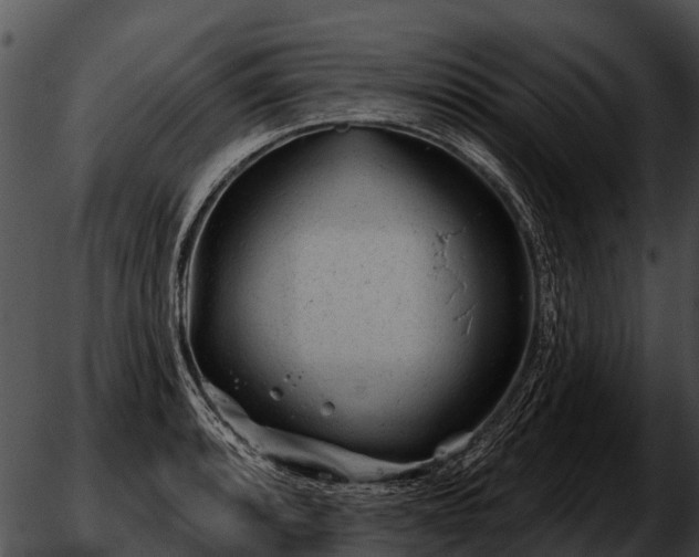 X0000051861088200507012334