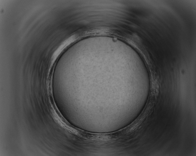 X0000051861090200507012334