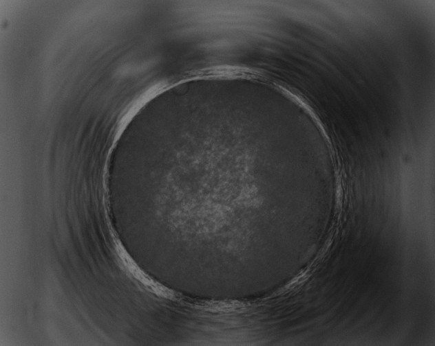 X0000051861091200507012334