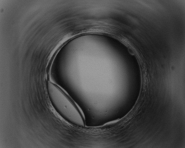 X0000051861092200507012334