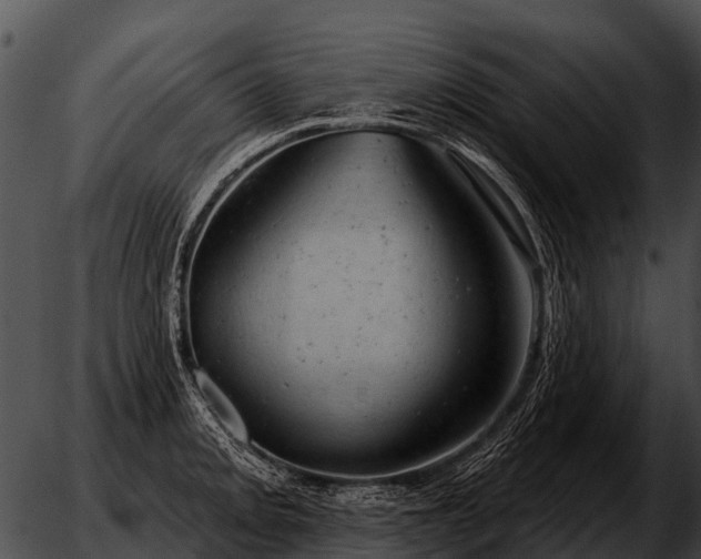 X0000051861093200507012334