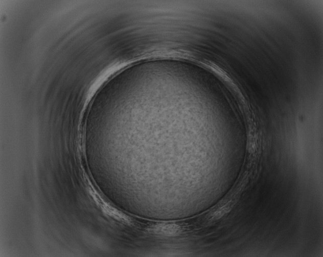 X0000051861094200507012334