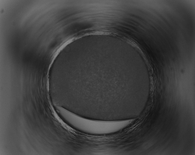 X0000051861095200507012334