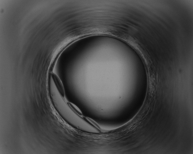 X0000051861096200507012334