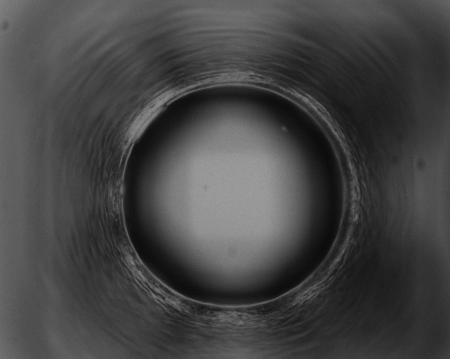 X0000051861097200507012334