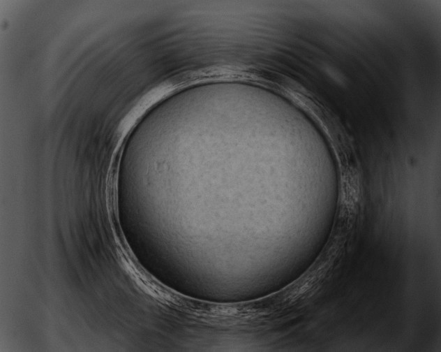 X0000051861098200507012334