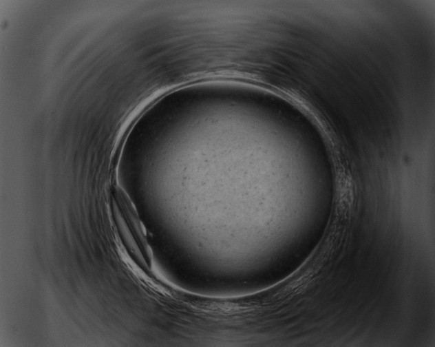 X0000051861100200507012334