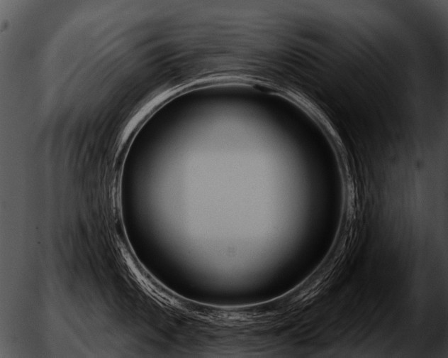 X0000051861101200507012334