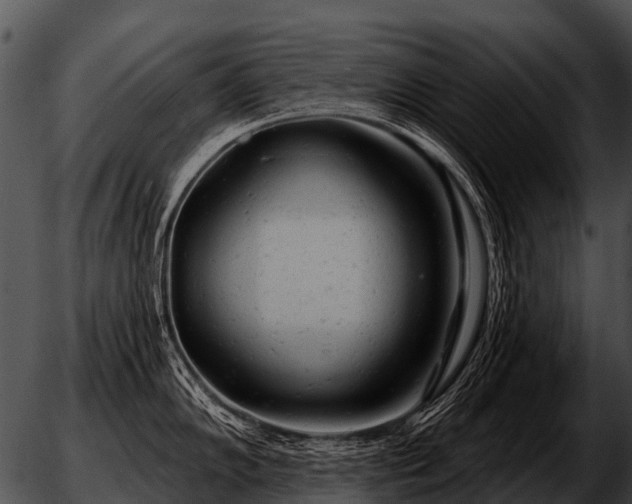 X0000051861102200507012334