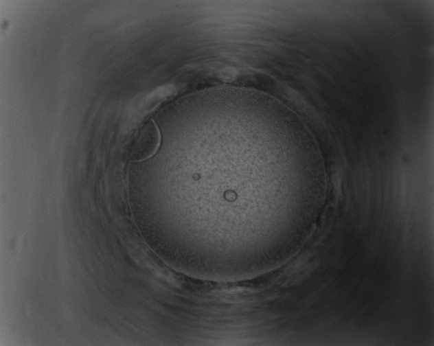 X0000051861105200507012333