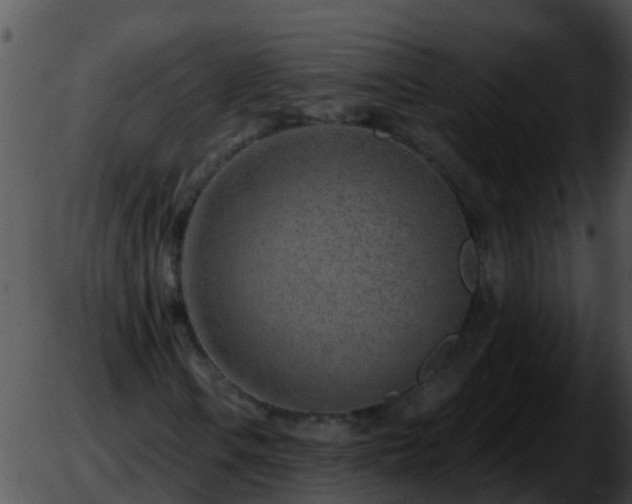 X0000051861106200507012333