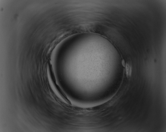 X0000051861107200507012333