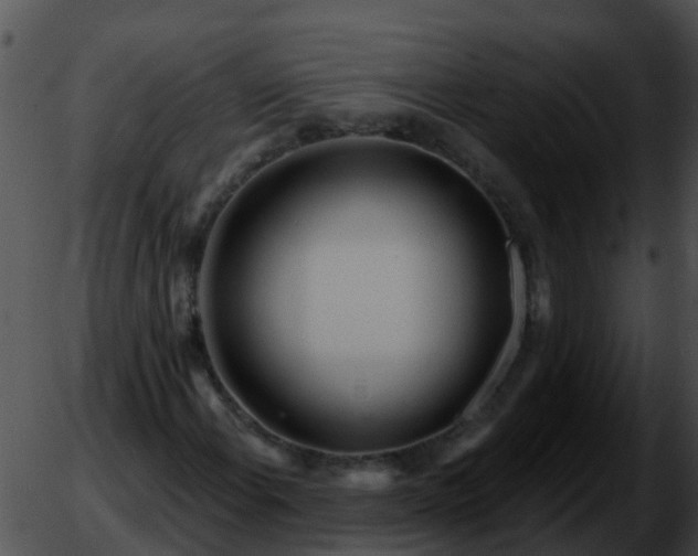 X0000051861108200507012333