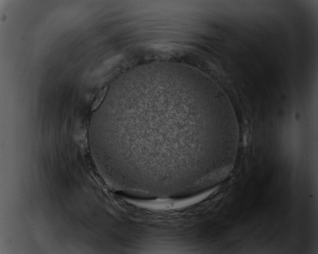 X0000051861109200507012333