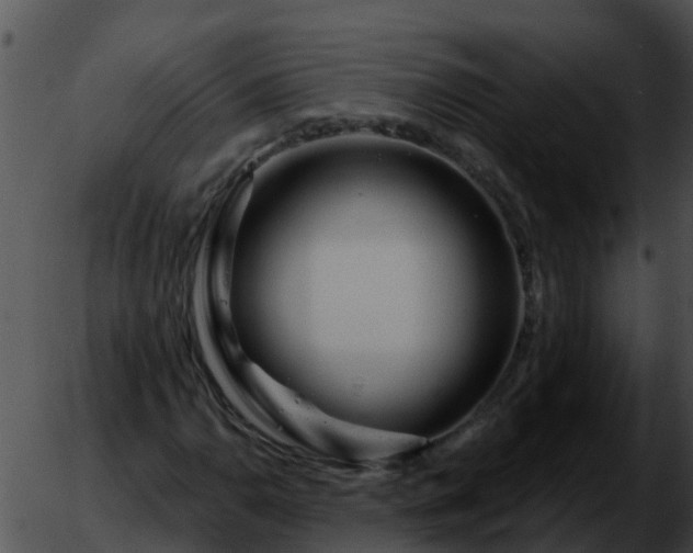 X0000051861110200507012333