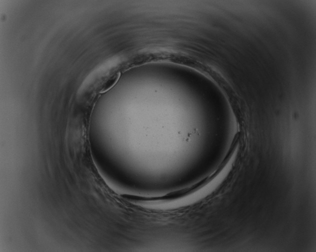 X0000051861111200507012333