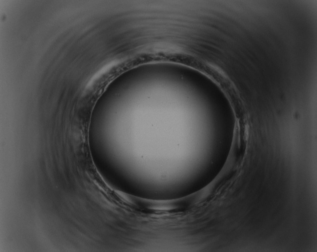 X0000051861112200507012333