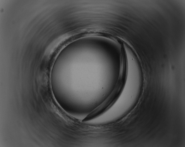 X0000051861115200507012333