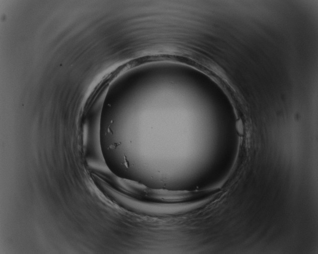 X0000051861116200507012333