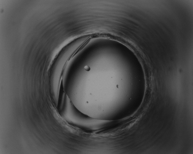 X0000051861118200507012333