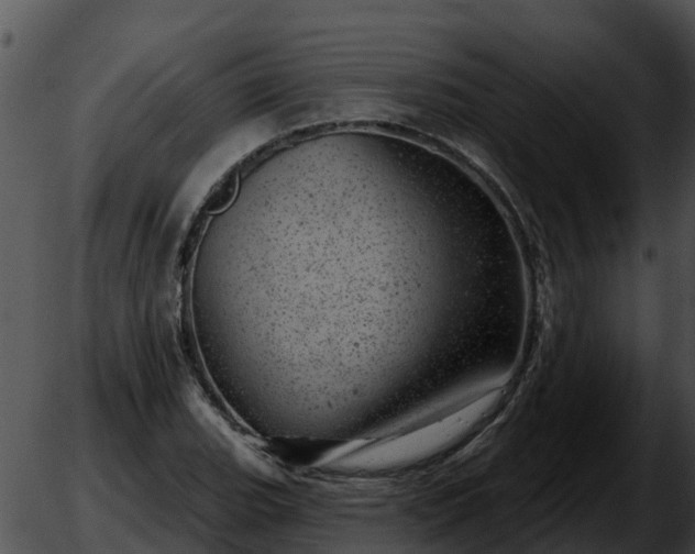 X0000051861119200507012333