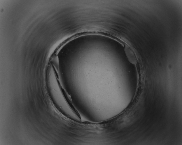 X0000051861120200507012333